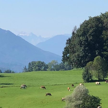 Ferienwohnung Sonnenlaeng Hechenberg Exteriör bild