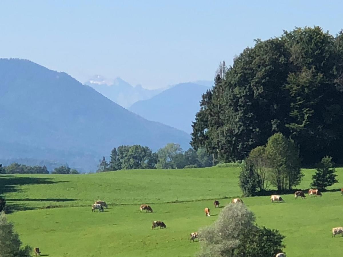 Ferienwohnung Sonnenlaeng Hechenberg Exteriör bild